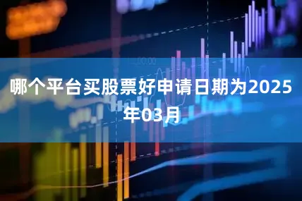 哪个平台买股票好申请日期为2025年03月