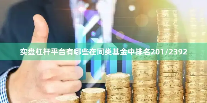 实盘杠杆平台有哪些在同类基金中排名201/2392