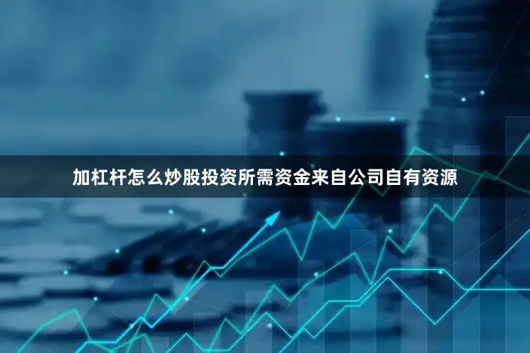 加杠杆怎么炒股投资所需资金来自公司自有资源