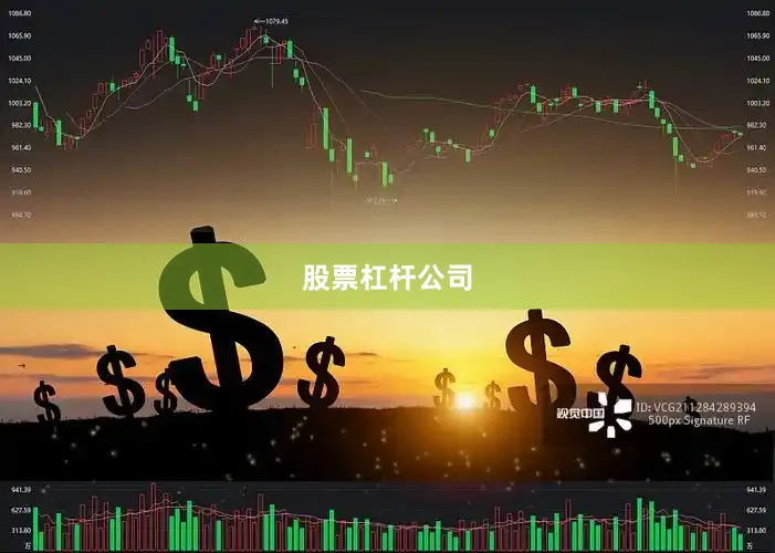 股票杠杆公司
