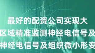 最好的配资公司实现大面积、跨区域精准监测神经电信号及组织微小形变