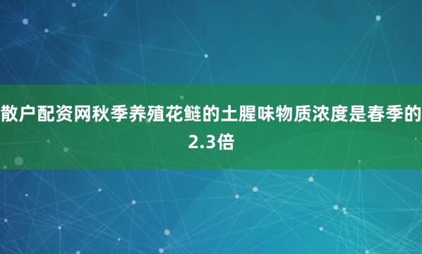 散户配资网秋季养殖花鲢的土腥味物质浓度是春季的2.3倍