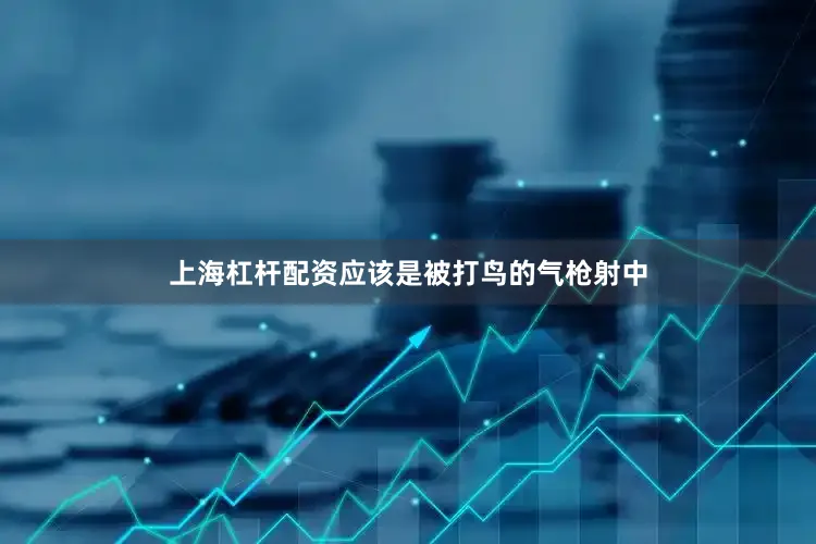 上海杠杆配资应该是被打鸟的气枪射中